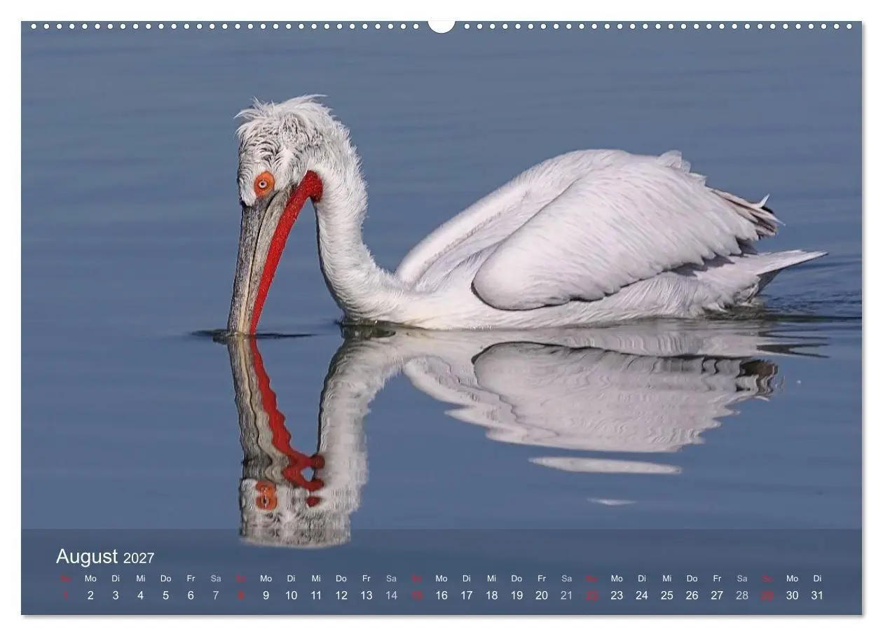 Bild: 9783594110256 | Pelikan-Kalender (hochwertiger Premium Wandkalender 2027 DIN A2...