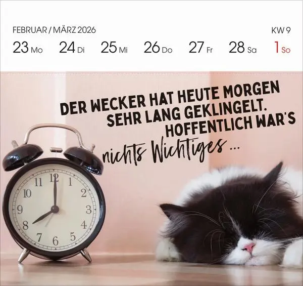 Bild: 9783731890256 | Lieber verrückt das Leben genießen 2026 | Verlag Korsch | Kalender