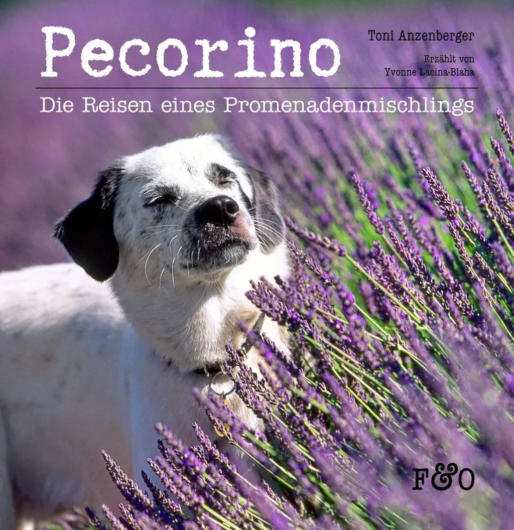 Cover: 9783956930256 | Pecorino | Die Reisen eines Promenadenmischlings | Yvonne Lacina