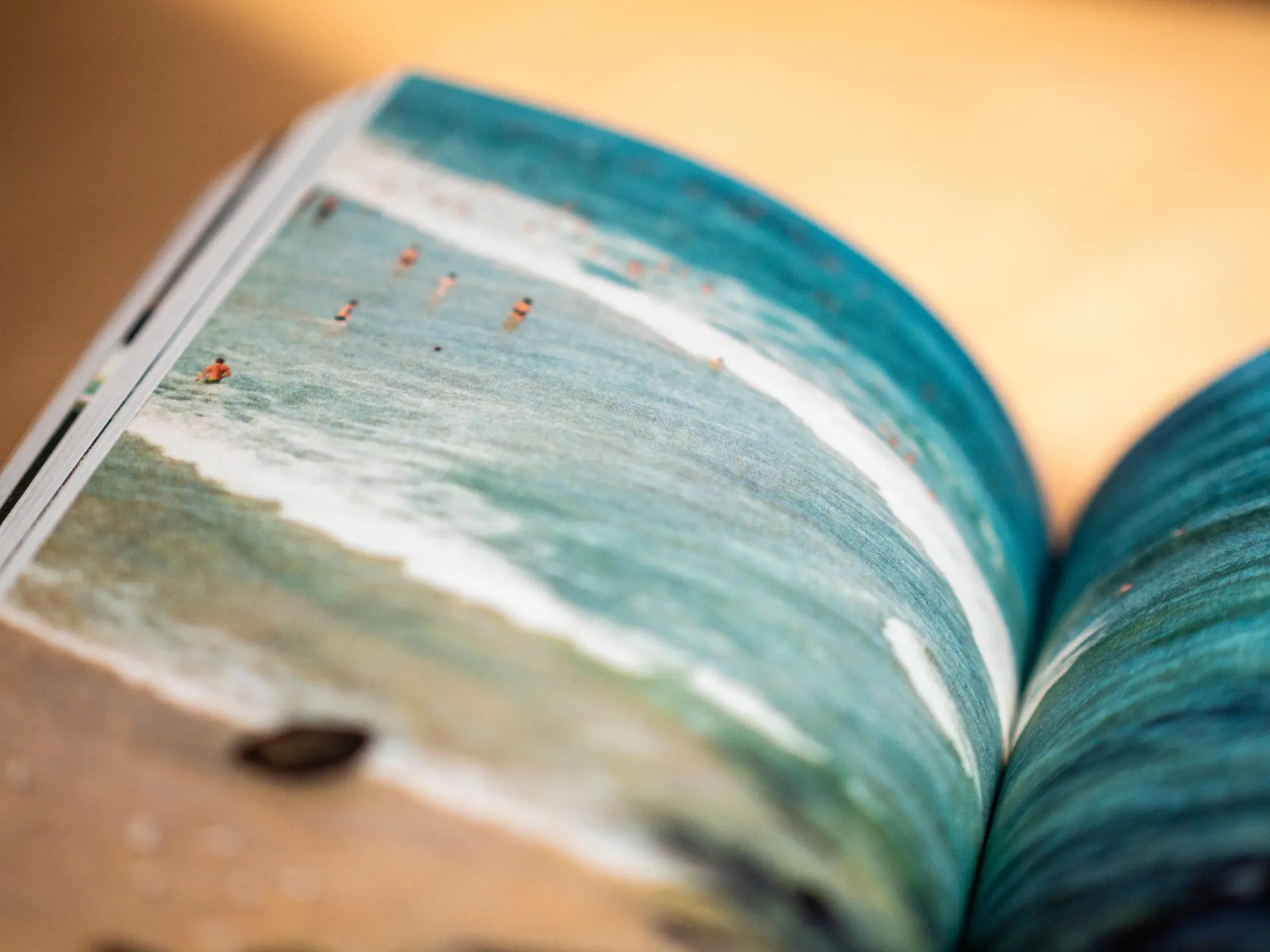 Bild: 9783963480256 | Woanders wachsen Mangos | Cindy Ruch (u. a.) | Buch | 240 S. | Deutsch