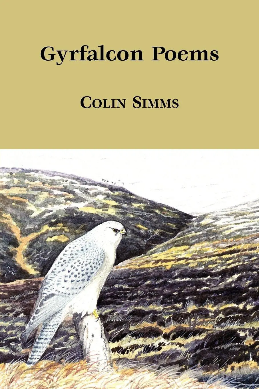 Cover: 9781905700356 | Gyrfalcon Poems | Colin Simms | Taschenbuch | Kartoniert / Broschiert