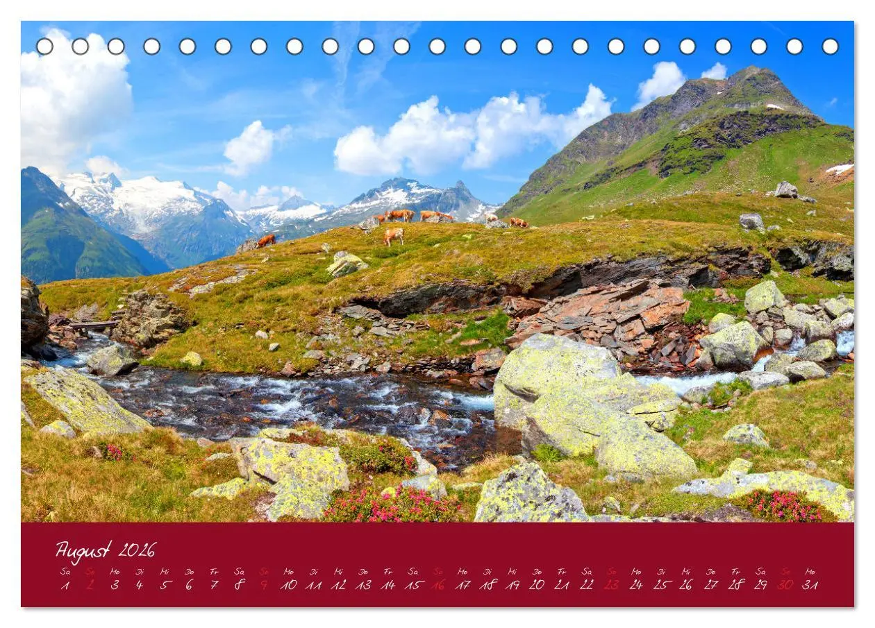 Bild: 9783457270356 | Friedliche Kühe (Tischkalender 2026 DIN A5 quer), CALVENDO...