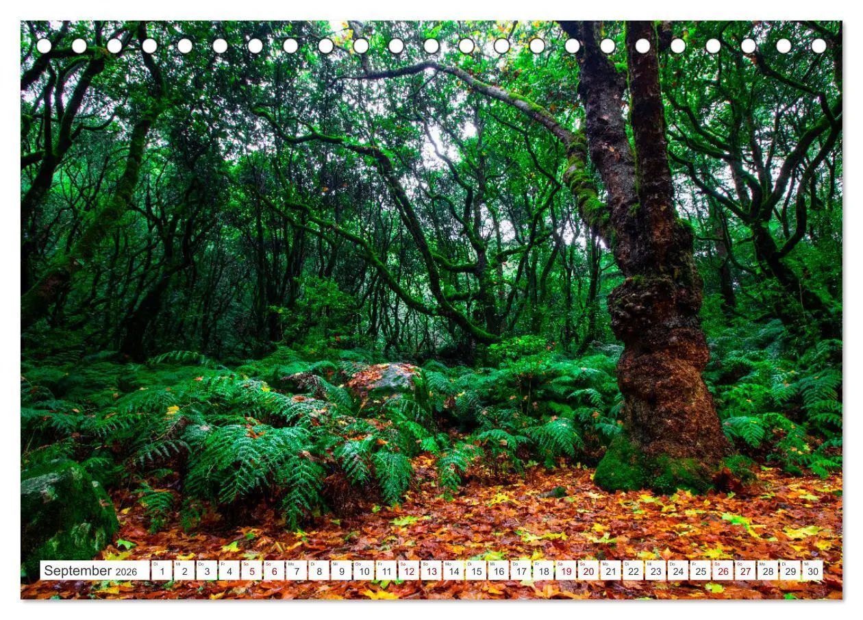 Bild: 9783457580356 | Madeira - Eine Perle im Atlantischen Ozean (Tischkalender 2026 DIN...
