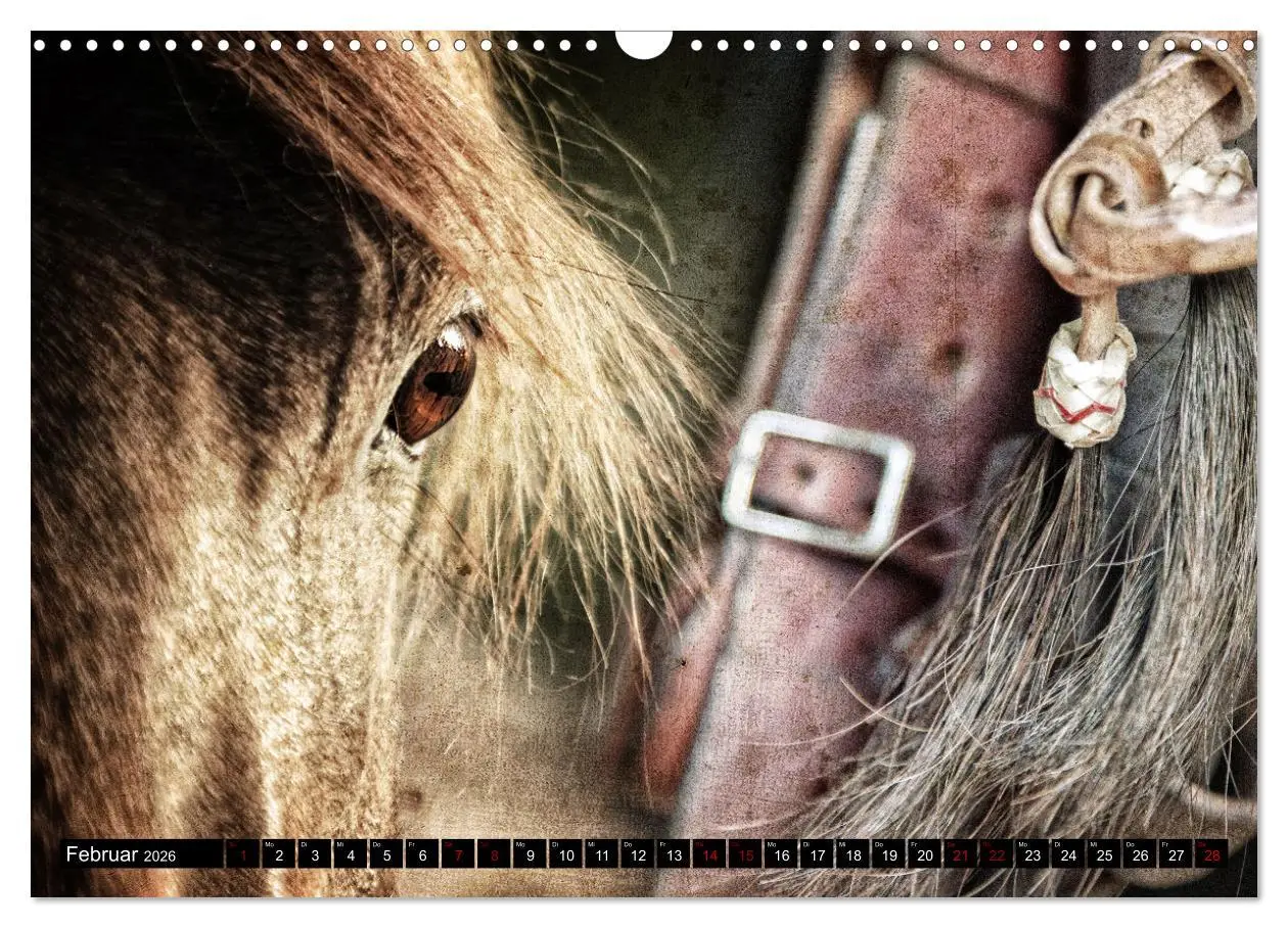 Bild: 9783457650356 | Magie Wilder Westen (Wandkalender 2026 DIN A3 quer), CALVENDO...