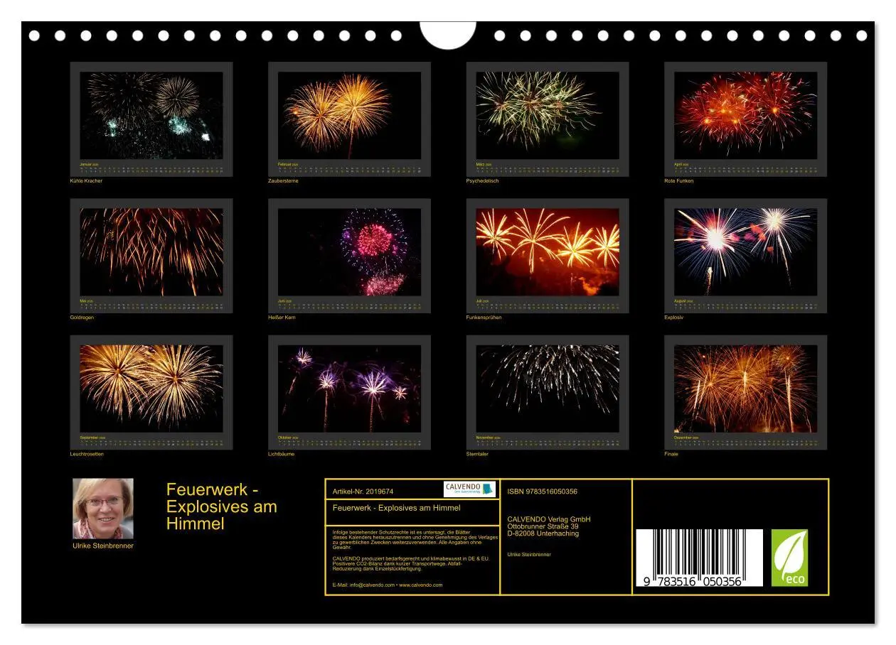 Bild: 9783516050356 | Feuerwerk - Explosives am Himmel (Wandkalender 2026 DIN A4 quer),...