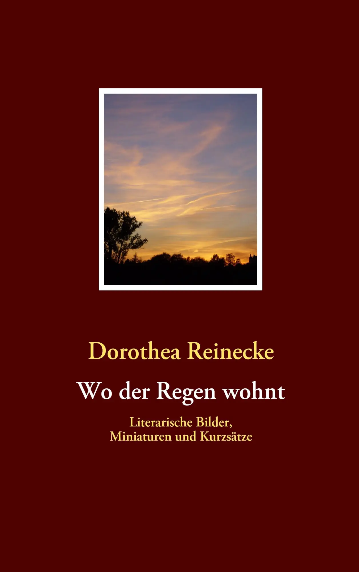 Cover: 9783839100356 | Wo der Regen wohnt | Literarische Bilder, Miniaturen und Kurzsätze