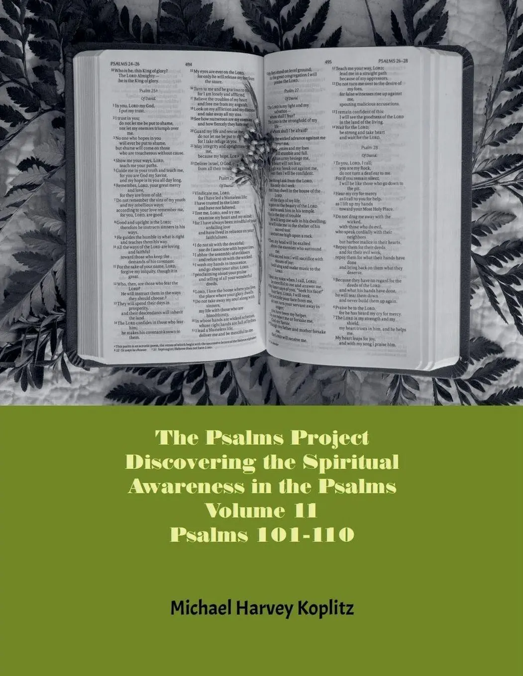 Cover: 9798227080356 | The Psalms Project Volume Eleven - Discovering the Spiritual World...