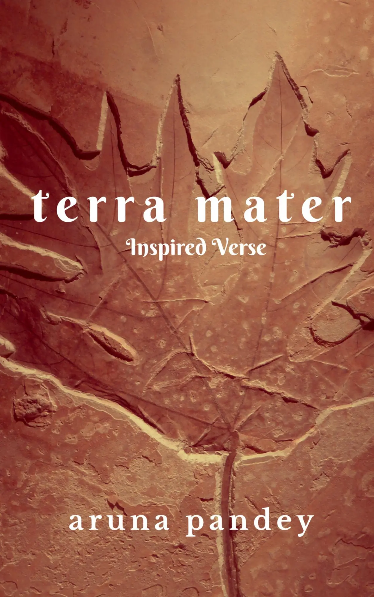 Cover: 9798887040356 | Terra Mater | Aruna Pandey | Taschenbuch | Englisch | 2022
