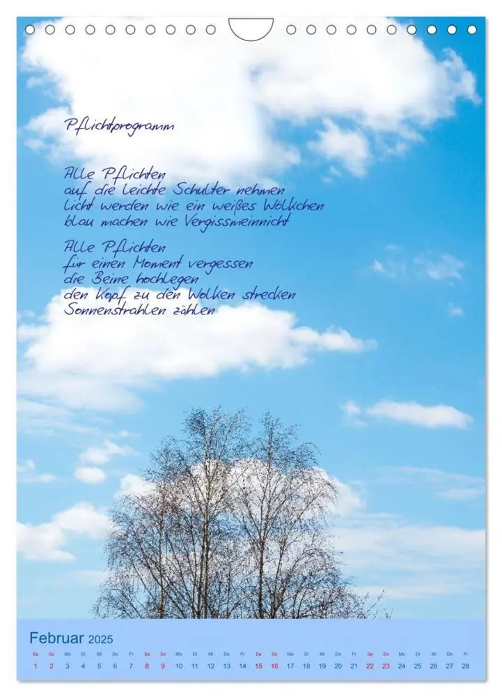 Bild: 9783435930456 | Himmlische Tage (Wandkalender 2025 DIN A4 hoch), CALVENDO...
