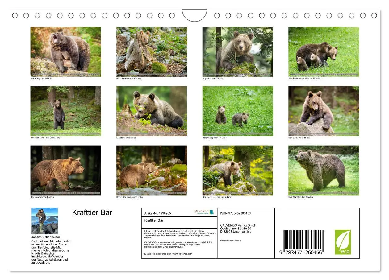 Bild: 9783457260456 | Krafttier Bär (Wandkalender 2026 DIN A4 quer), CALVENDO Monatskalender