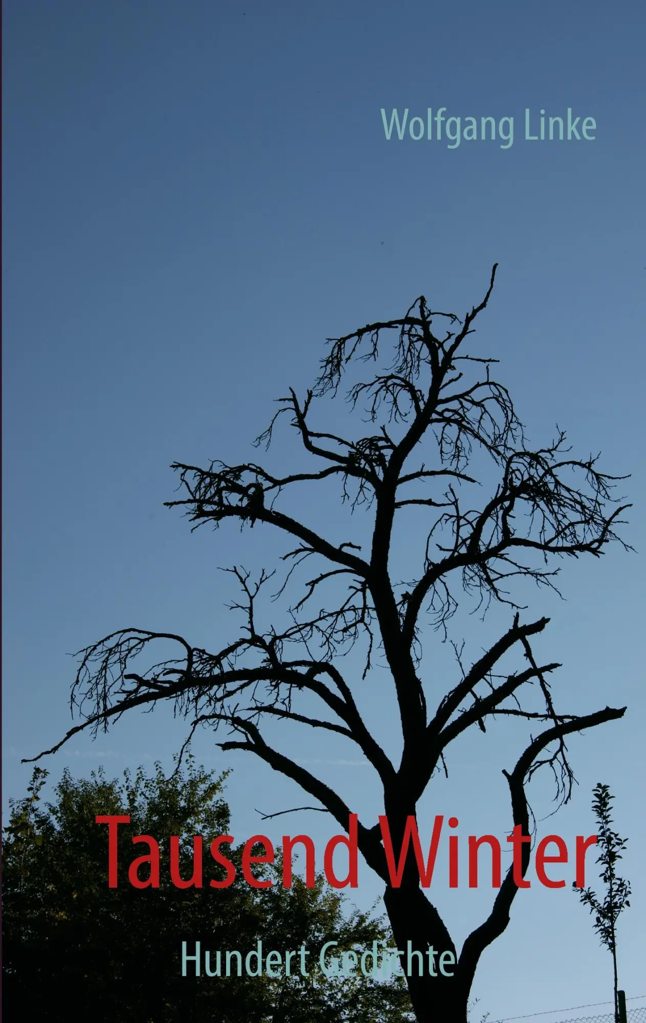 Cover: 9783732240456 | Tausend Winter | Hundert Gedichte | Wolfgang Linke | Taschenbuch