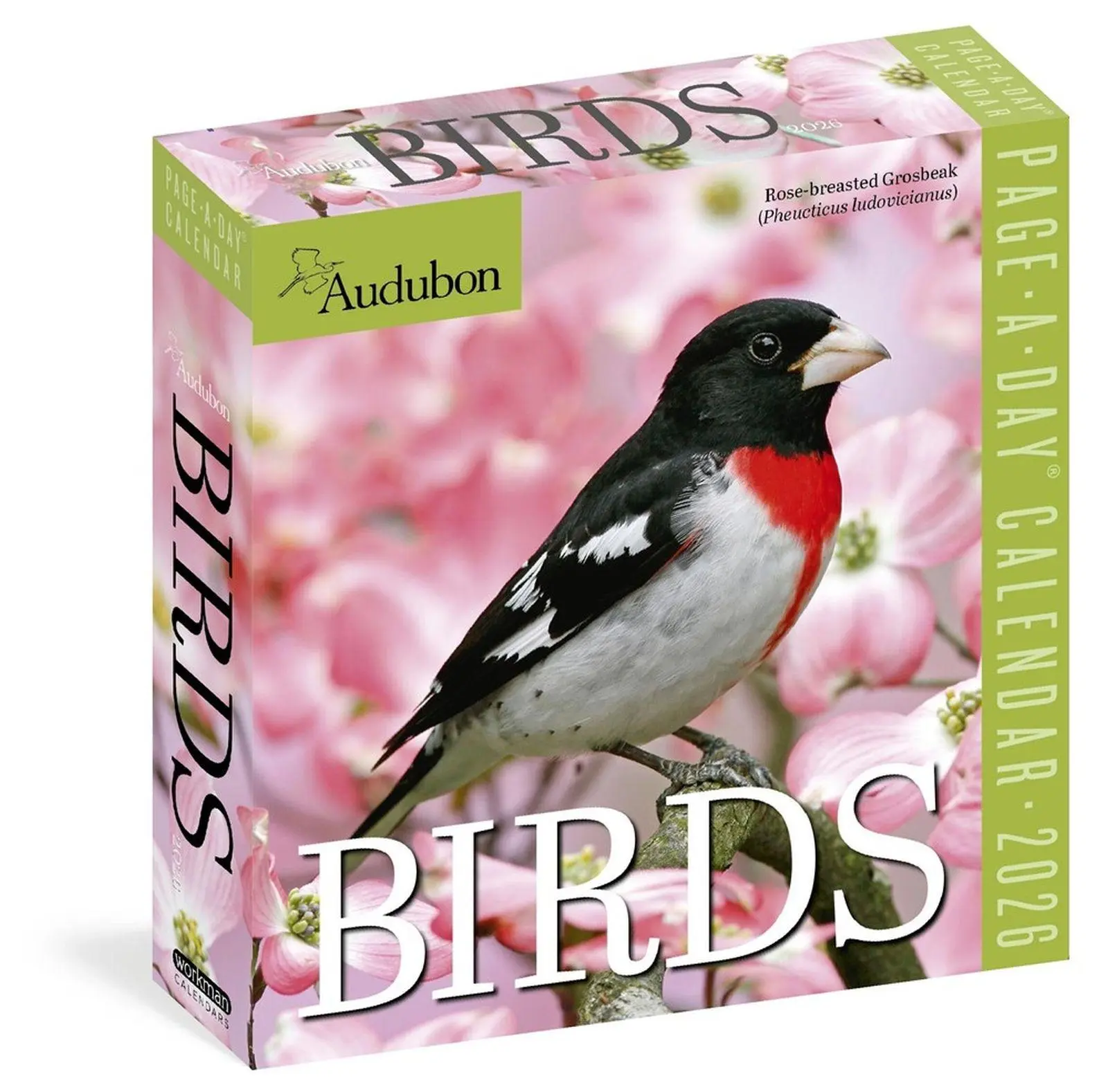 Cover: 9781523530656 | Audubon Birds Page-A-Day(r) Calendar 2026 | Workman Calendars | 2026