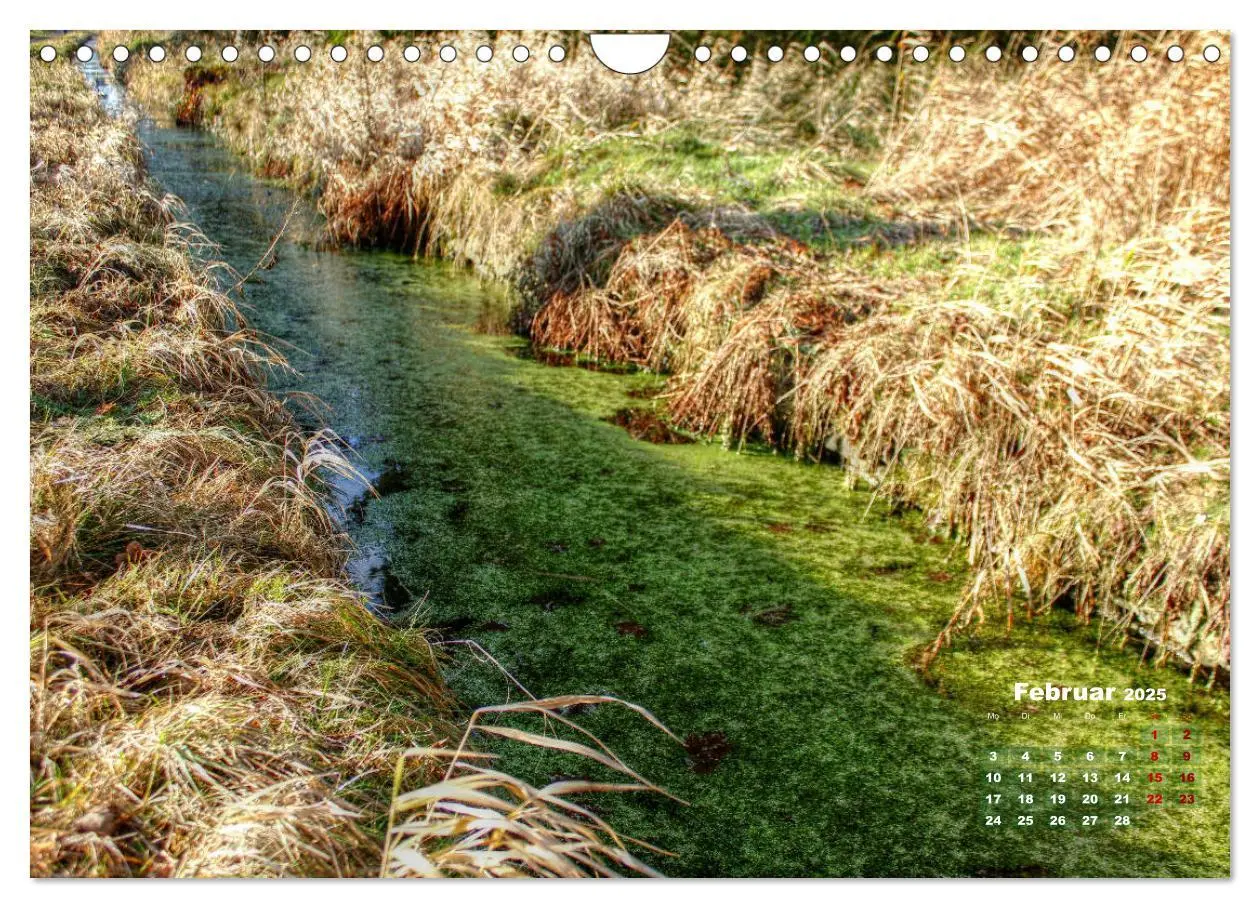 Bild: 9783435390656 | Bilder aus dem schönen Harz (Wandkalender 2025 DIN A4 quer),...