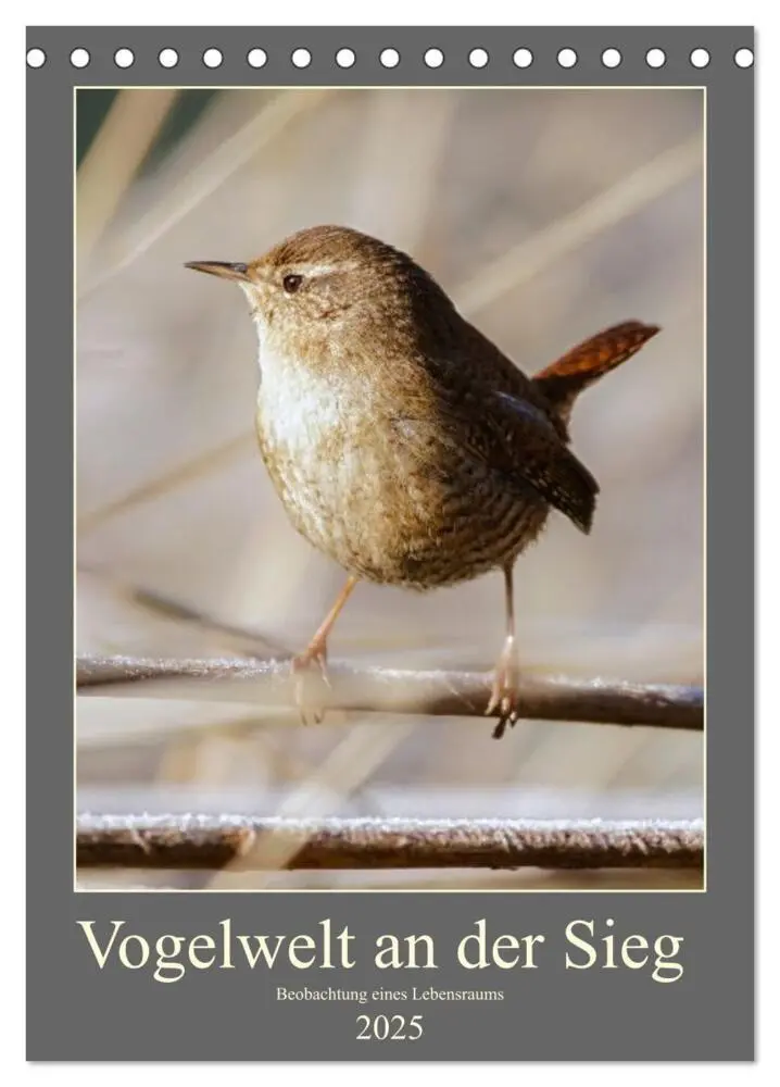 Cover: 9783435910656 | Vogelwelt an der Sieg (Tischkalender 2025 DIN A5 hoch), CALVENDO...