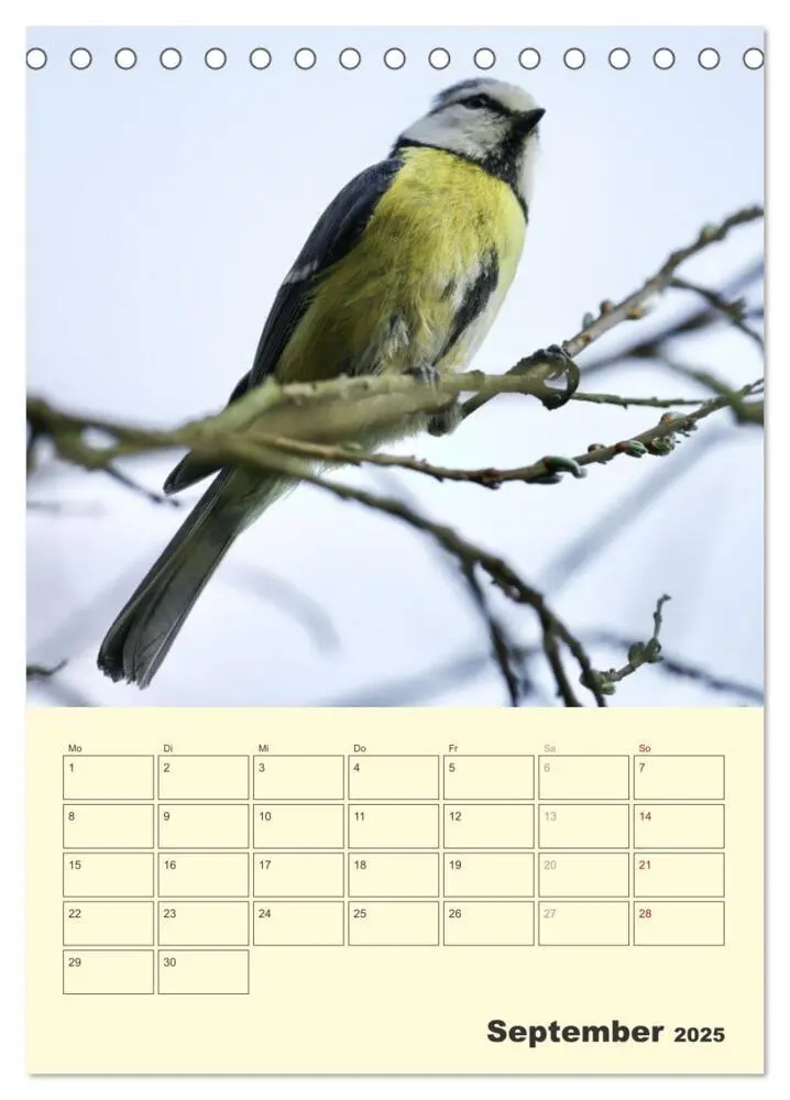 Bild: 9783435910656 | Vogelwelt an der Sieg (Tischkalender 2025 DIN A5 hoch), CALVENDO...