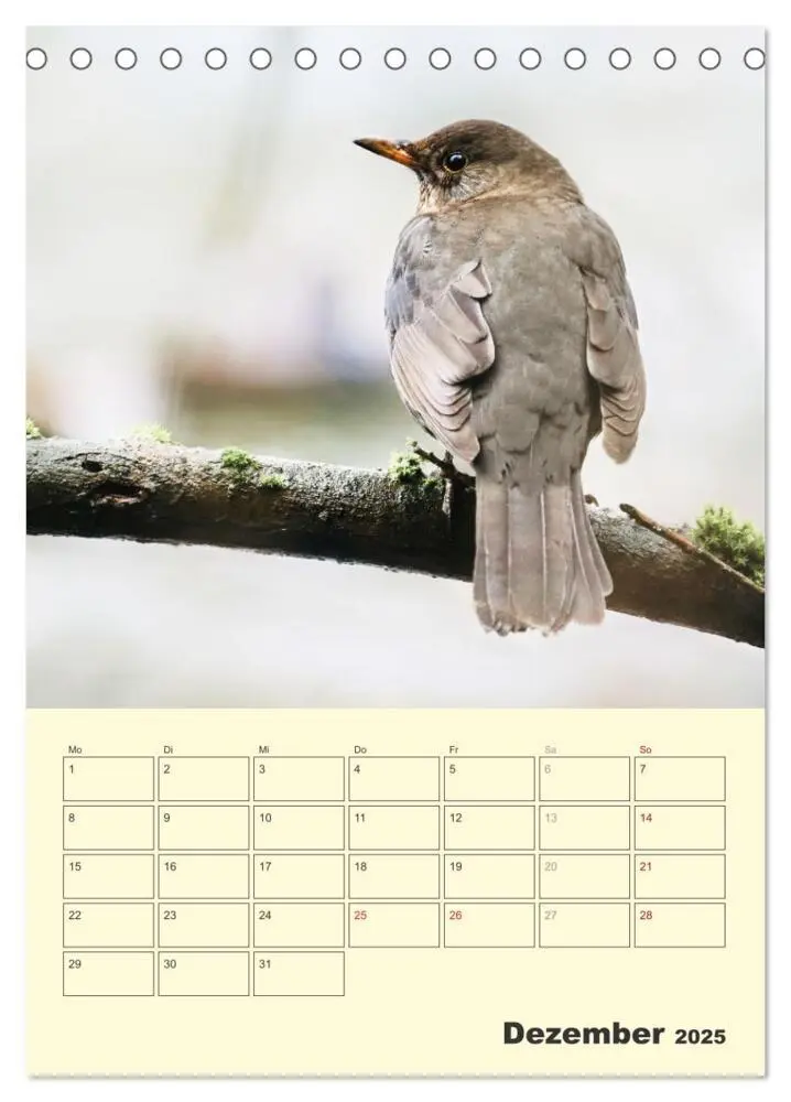 Bild: 9783435910656 | Vogelwelt an der Sieg (Tischkalender 2025 DIN A5 hoch), CALVENDO...