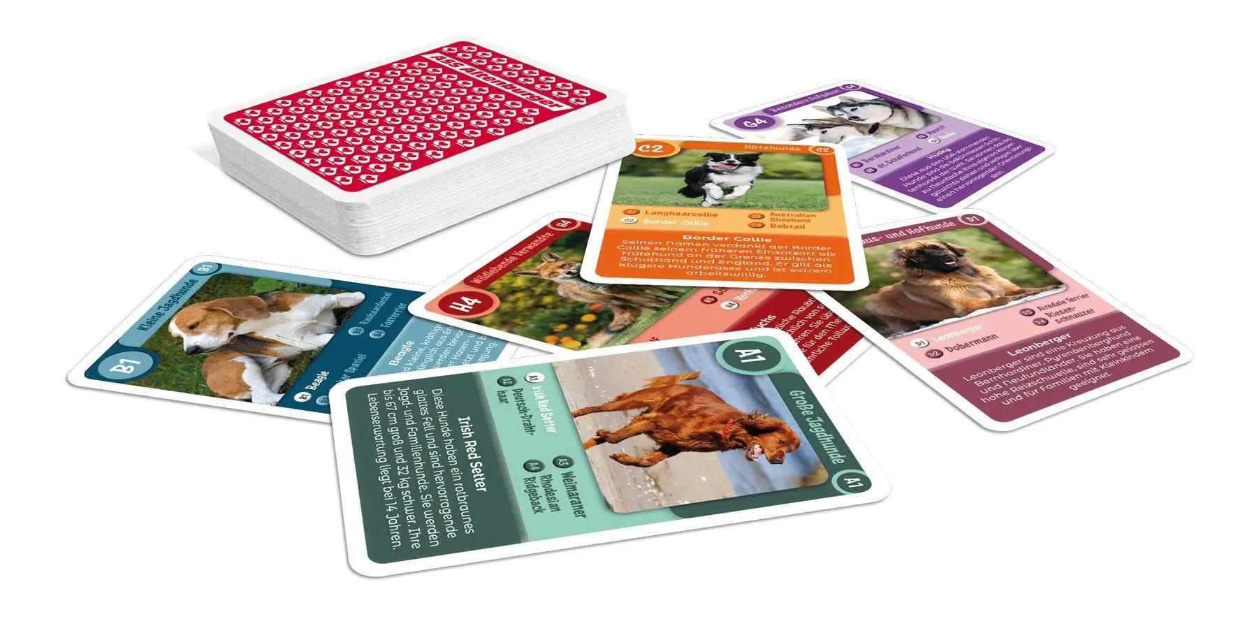 Bild: 4042677720856 | Tier-Quartett - Hunde | Spielkartenfabrik Altenburg GmbH | Spiel