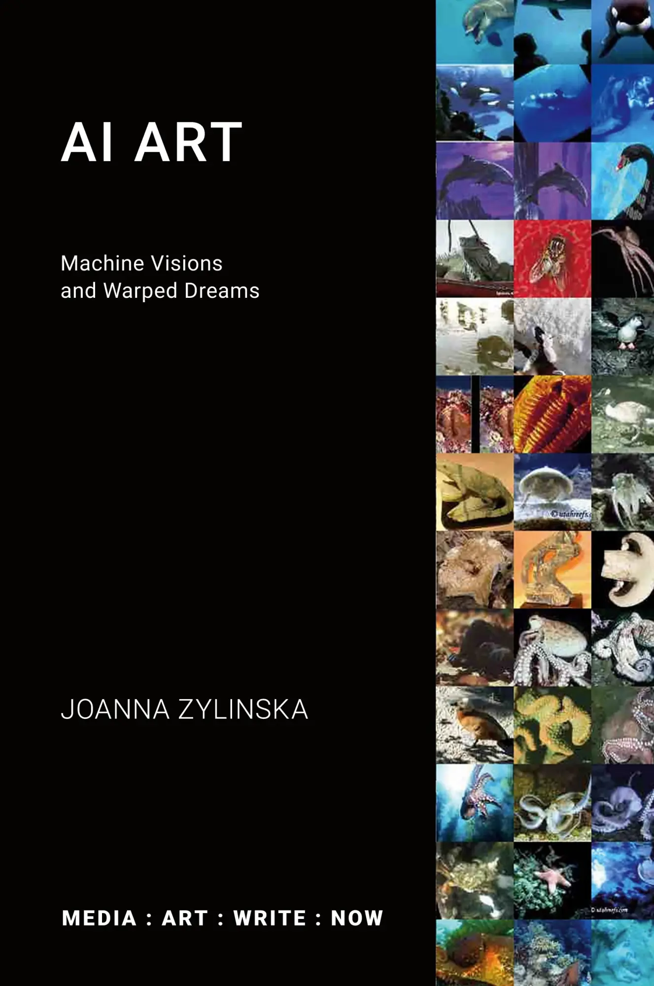 Cover: 9781785420856 | AI Art | Machine Visions and Warped Dreams | Joanna Zylinska | Buch