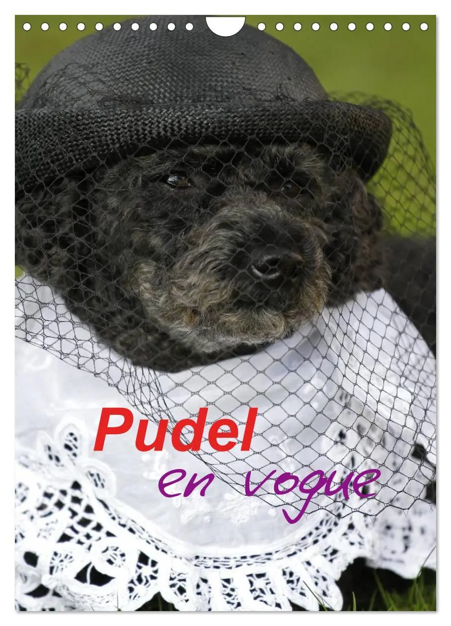 Cover: 9783516480856 | Pudel en vogue (Wandkalender 2026 DIN A4 hoch), CALVENDO...