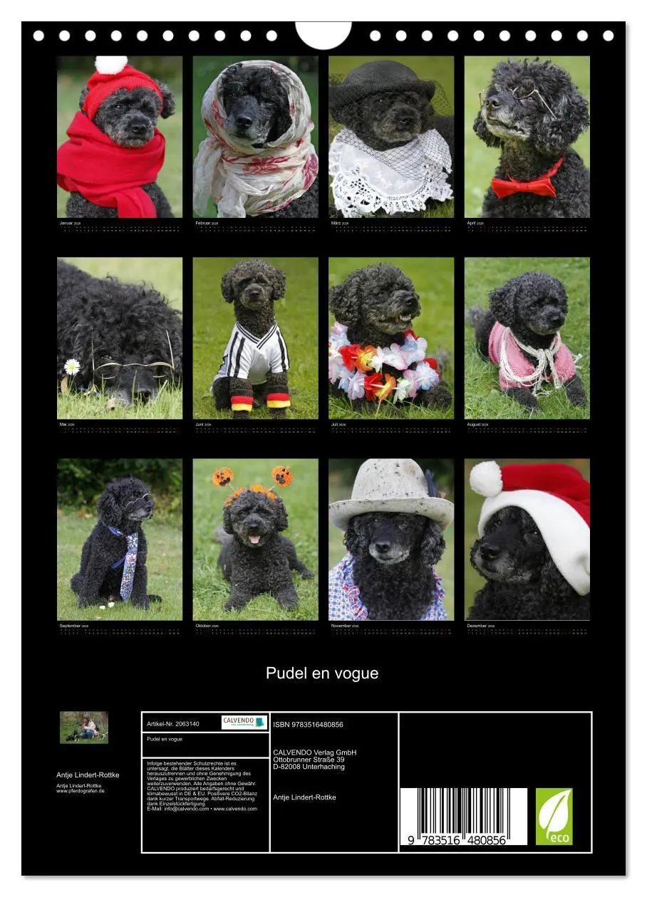 Bild: 9783516480856 | Pudel en vogue (Wandkalender 2026 DIN A4 hoch), CALVENDO...
