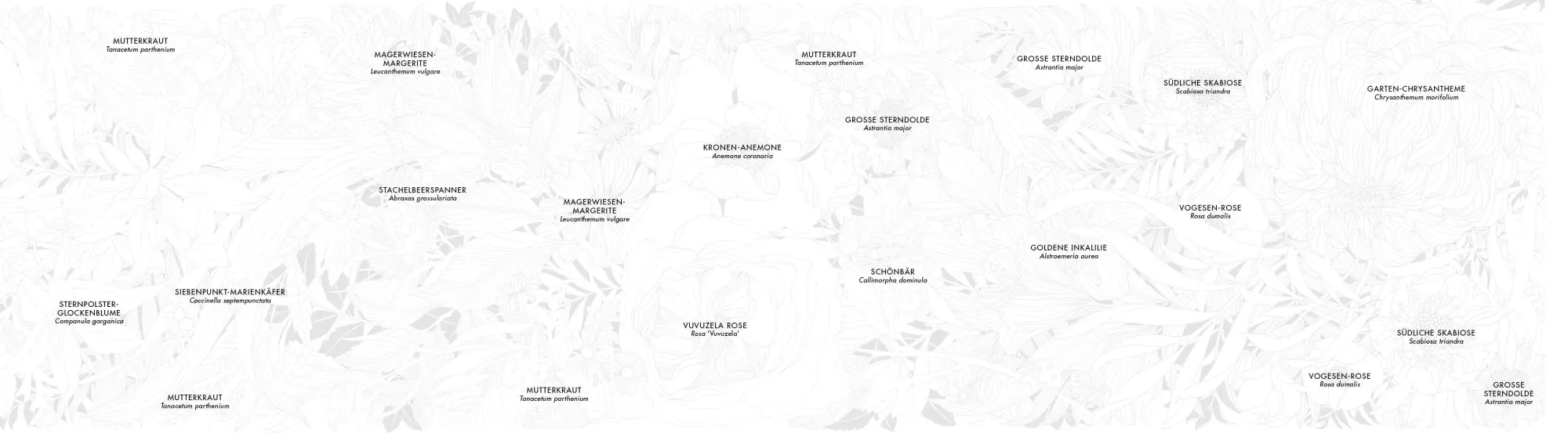 Bild: 9783745930856 | Blüten-Panorama Atemberaubendes Blumen-Leporello zum Ausmalen und...