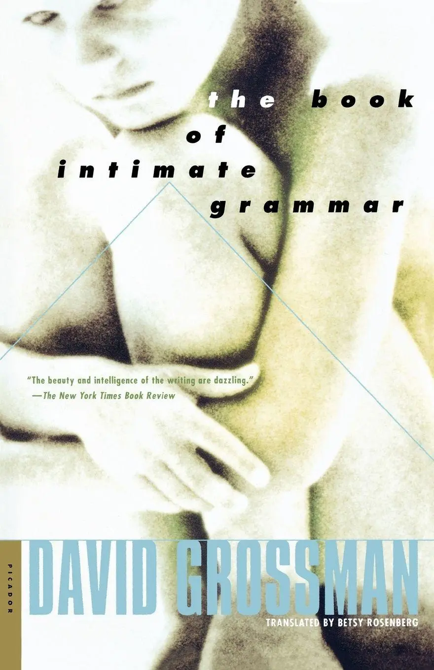 Cover: 9780312420956 | The Book of Intimate Grammar | Grossman David | Taschenbuch | Englisch