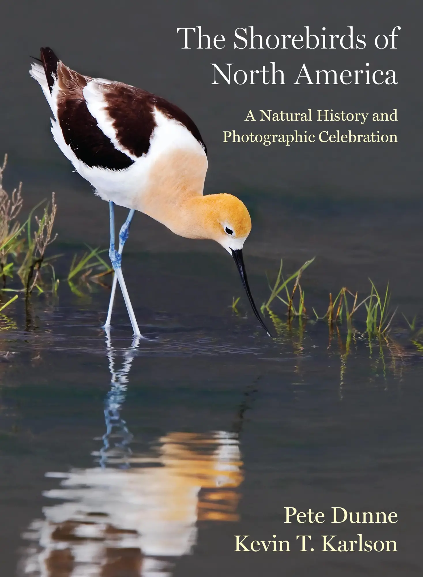 Cover: 9780691220956 | The Shorebirds of North America | Pete Dunne (u. a.) | Buch | Englisch