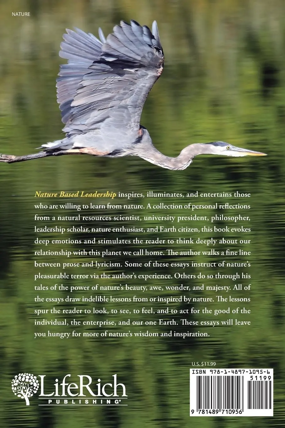 Rückseite: 9781489710956 | Nature Based Leadership | Stephen B. Jones | Taschenbuch | Englisch