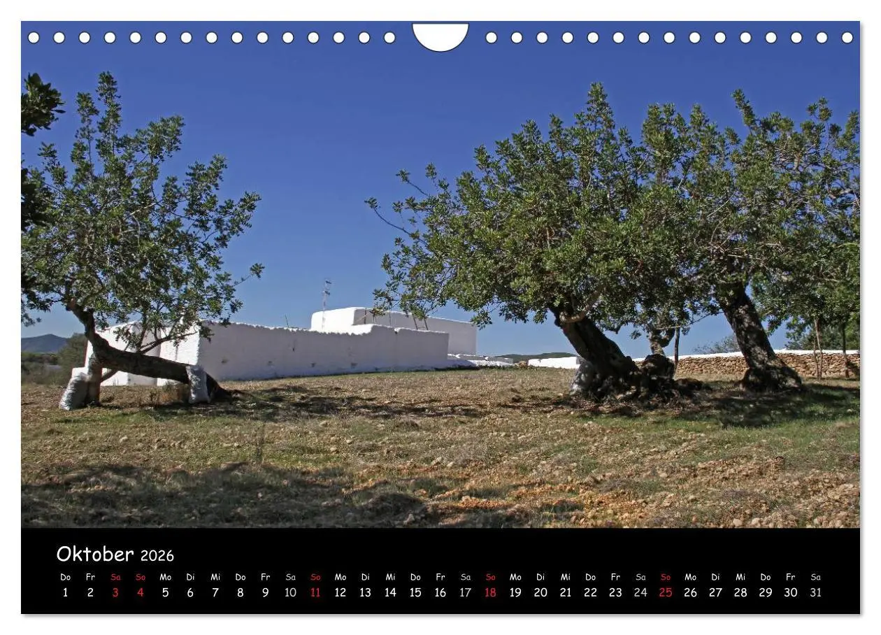 Bild: 9783516230956 | Zauberhaftes Ibiza (Wandkalender 2026 DIN A4 quer), CALVENDO...