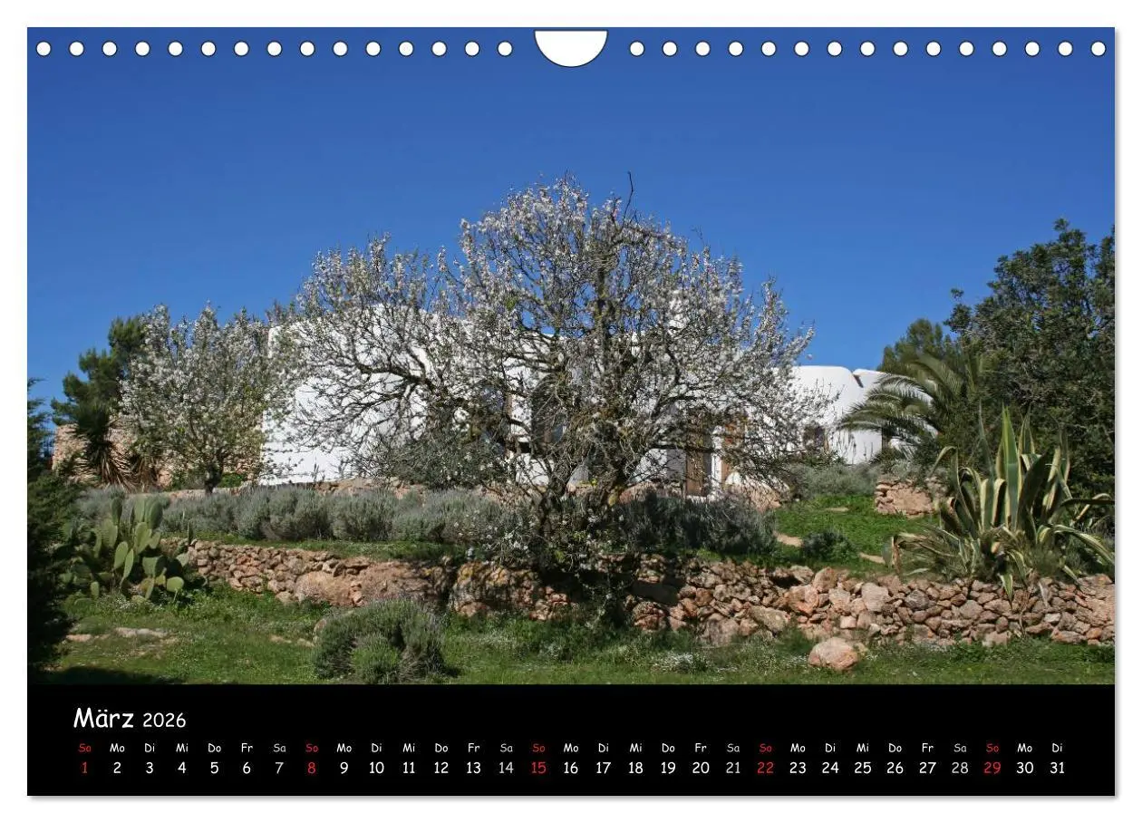 Bild: 9783516230956 | Zauberhaftes Ibiza (Wandkalender 2026 DIN A4 quer), CALVENDO...