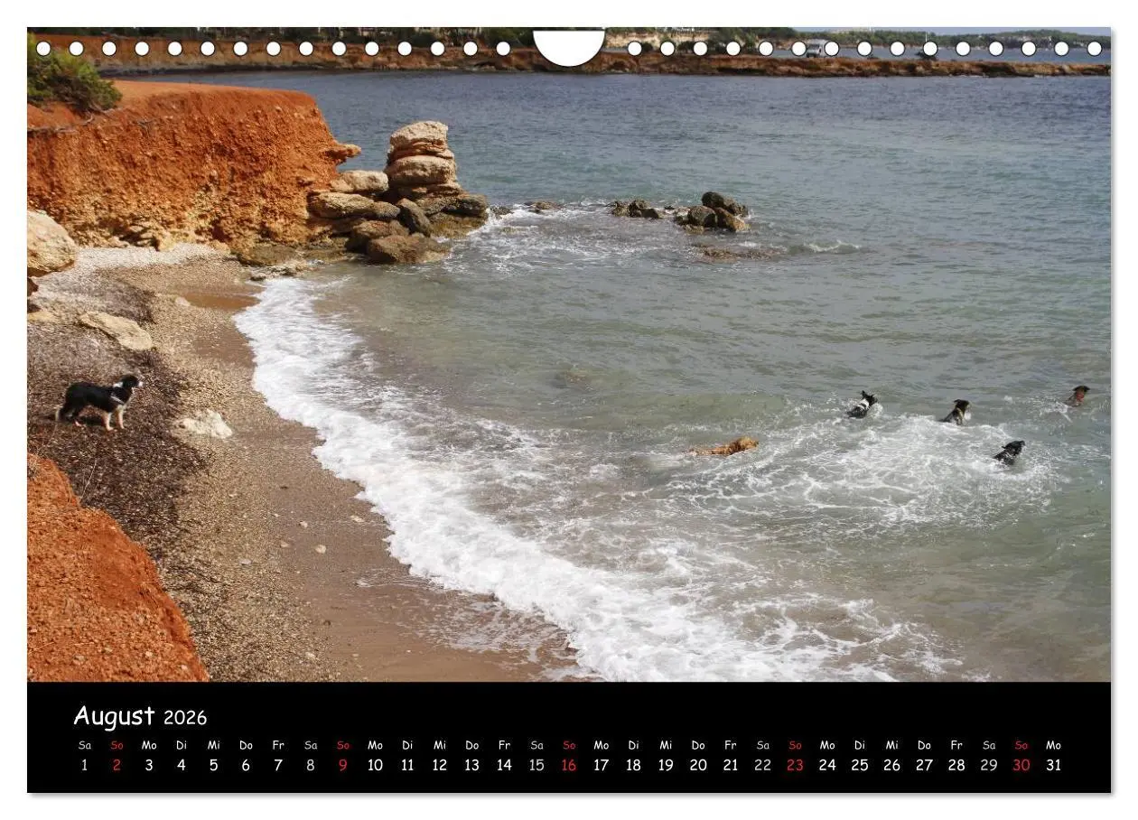 Bild: 9783516230956 | Zauberhaftes Ibiza (Wandkalender 2026 DIN A4 quer), CALVENDO...