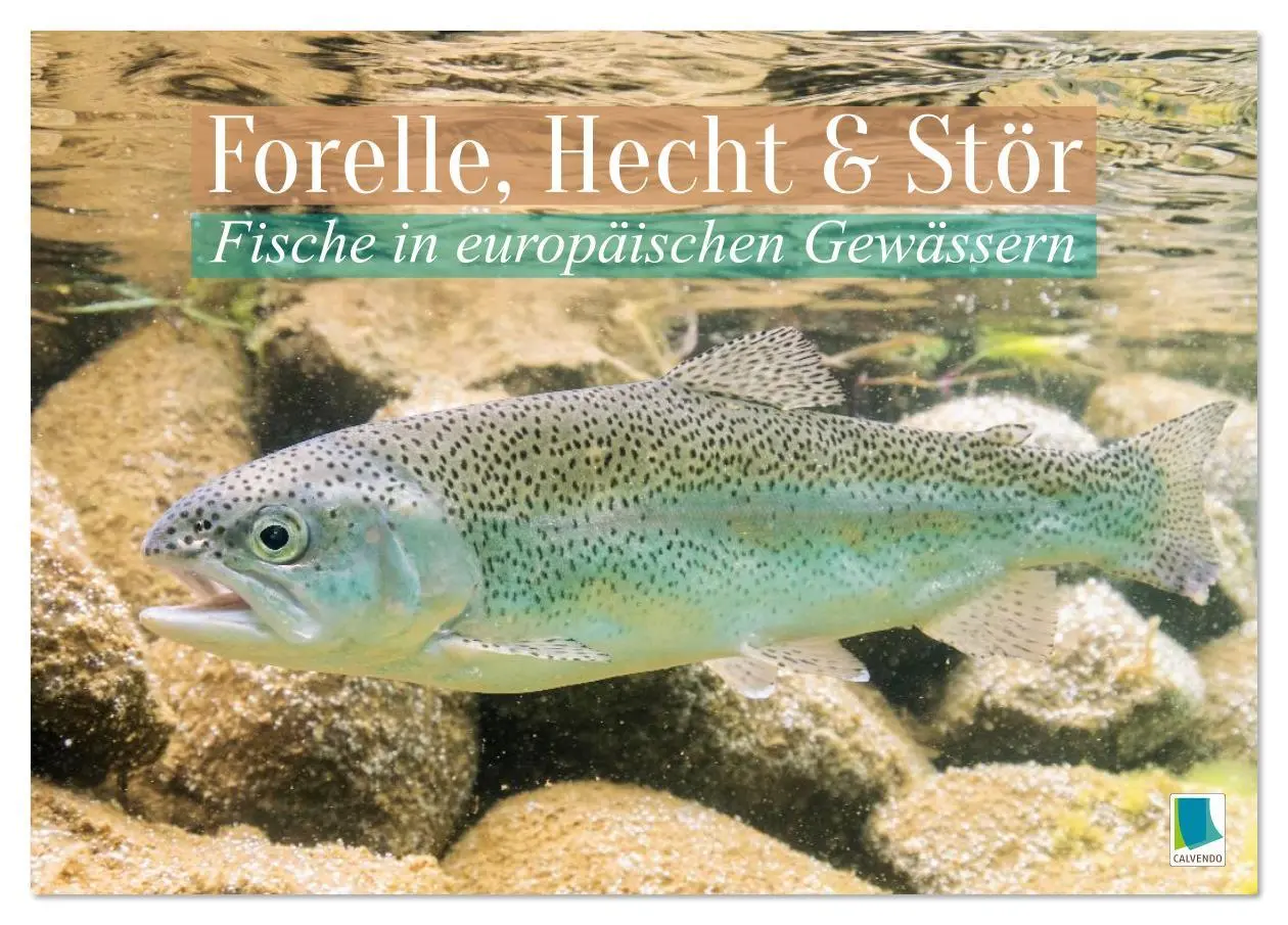 Cover: 9783516610956 | Forelle, Hecht und Stör: Fische in europäischen Gewässern...