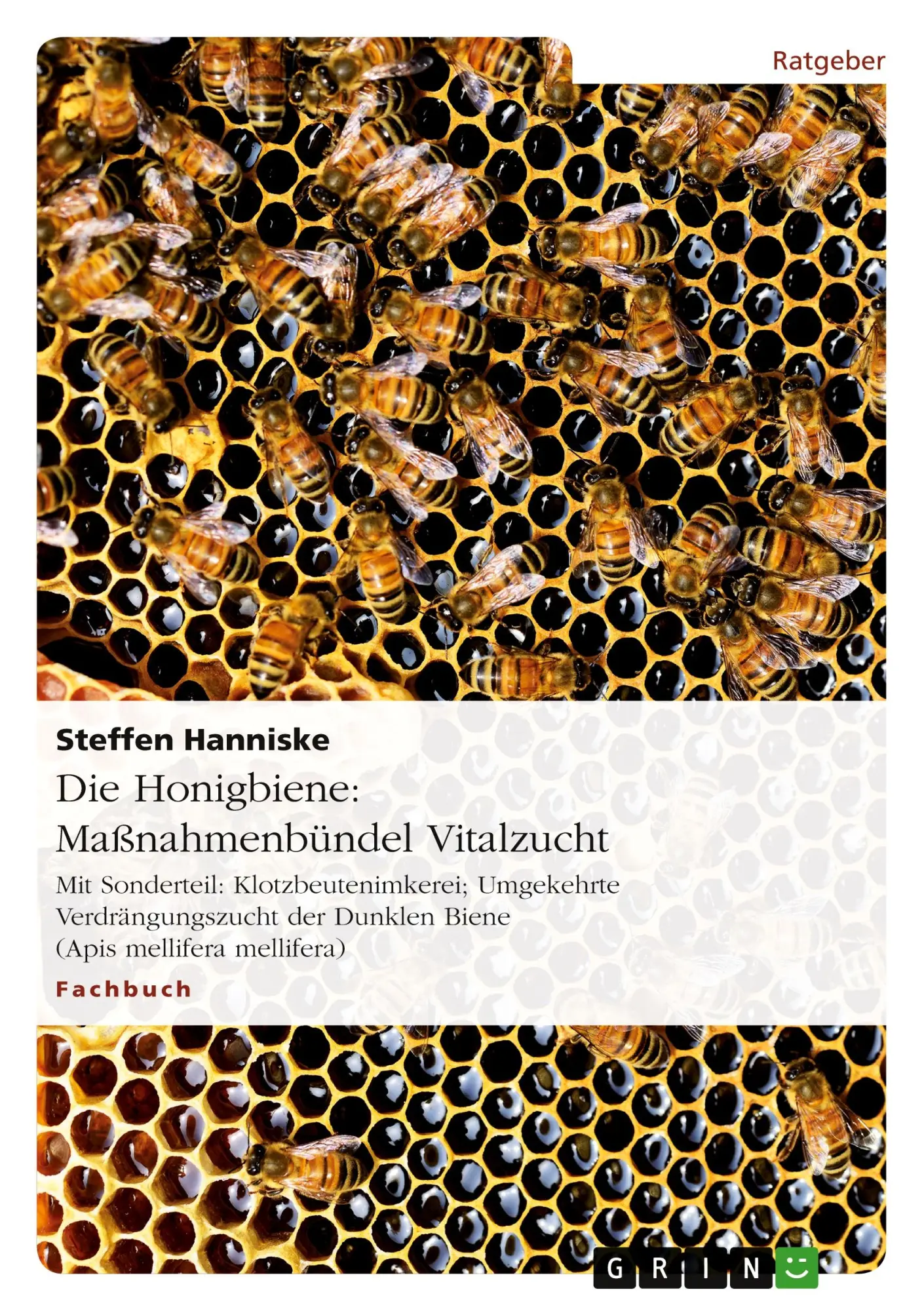 Cover: 9783656370956 | Die Honigbiene: Maßnahmenbündel Vitalzucht | Steffen Hanniske | Buch