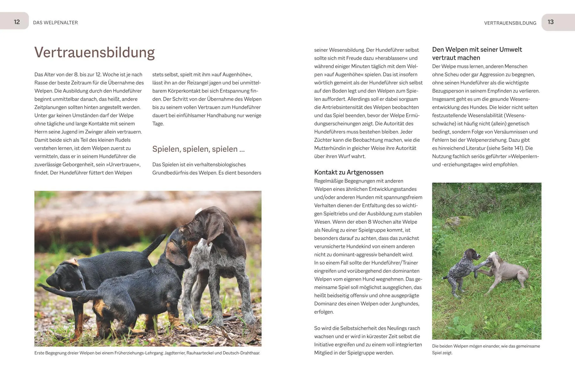 Bild: 9783967470956 | Der Jagdgebrauchshund-Jährling | Uwe Tabel | Buch | BLV Jagdprüfung