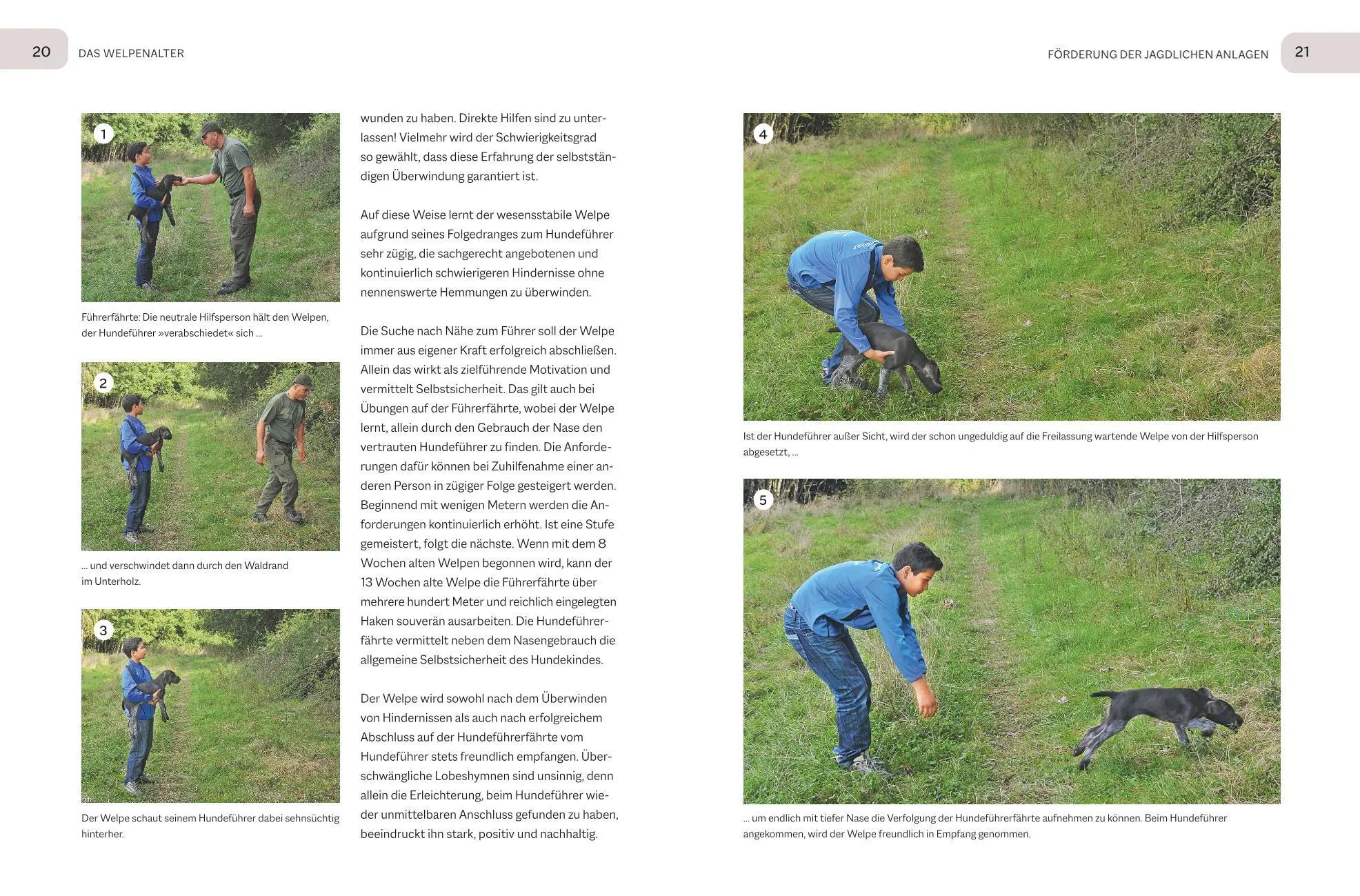 Bild: 9783967470956 | Der Jagdgebrauchshund-Jährling | Uwe Tabel | Buch | BLV Jagdprüfung