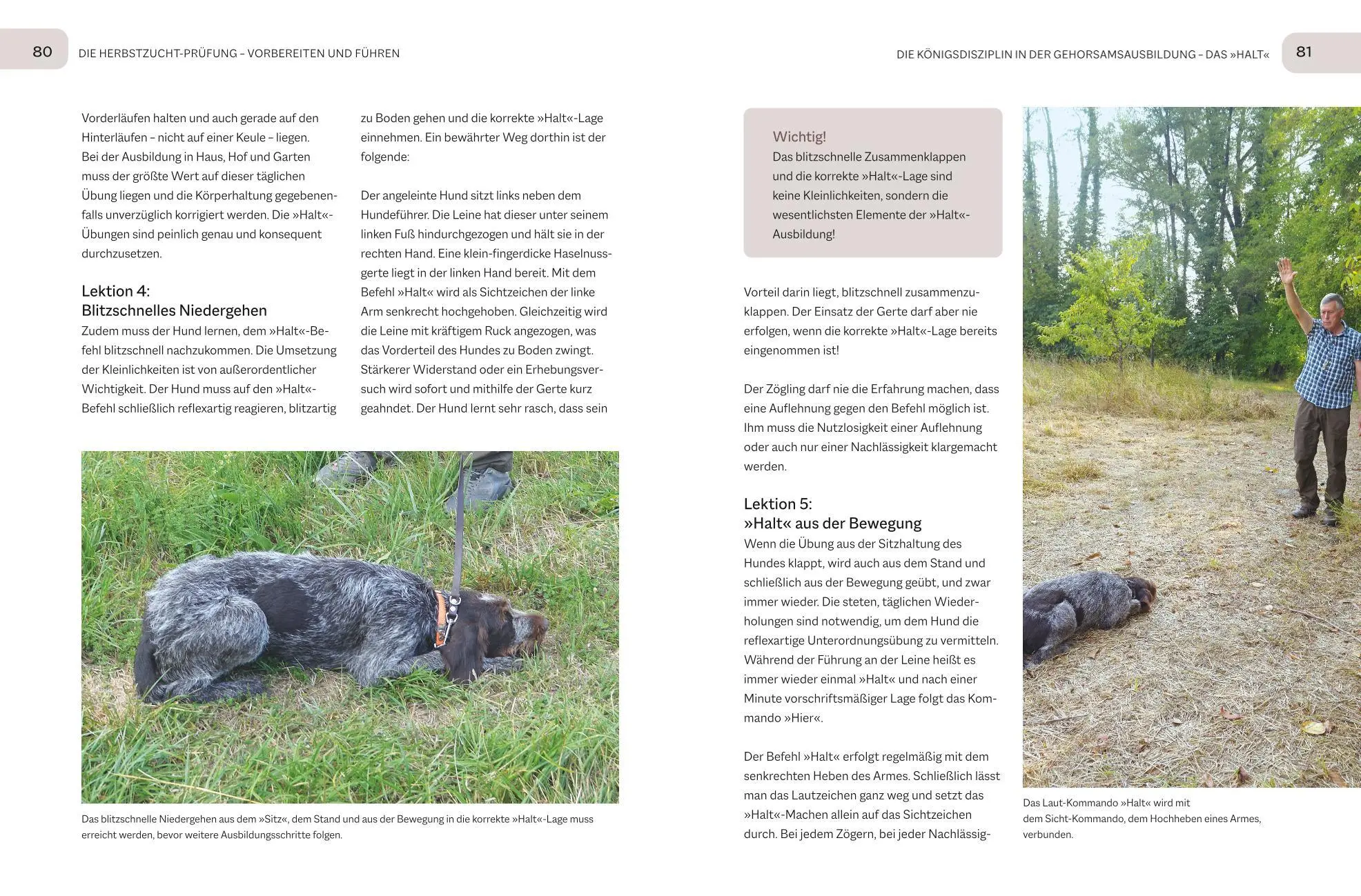 Bild: 9783967470956 | Der Jagdgebrauchshund-Jährling | Uwe Tabel | Buch | BLV Jagdprüfung