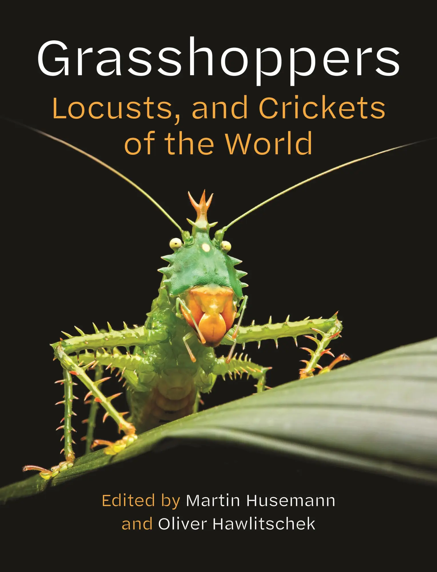 Cover: 9780691281056 | Grasshoppers, Locusts, and Crickets of the World | Husemann (u. a.)