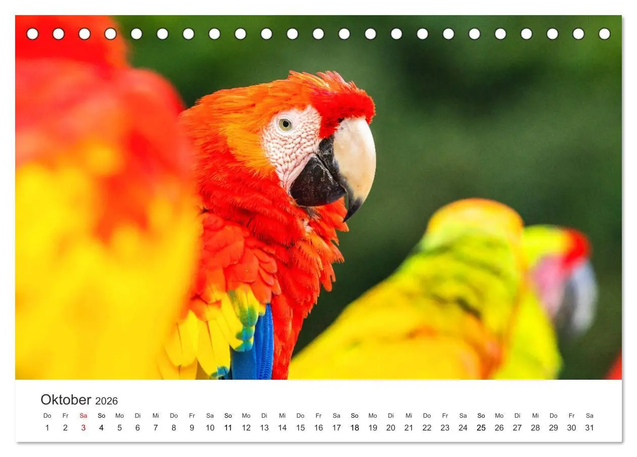 Bild: 9783457721056 | Costa Rica - exotische Tierwelt und unberührte Natur (Tischkalender...
