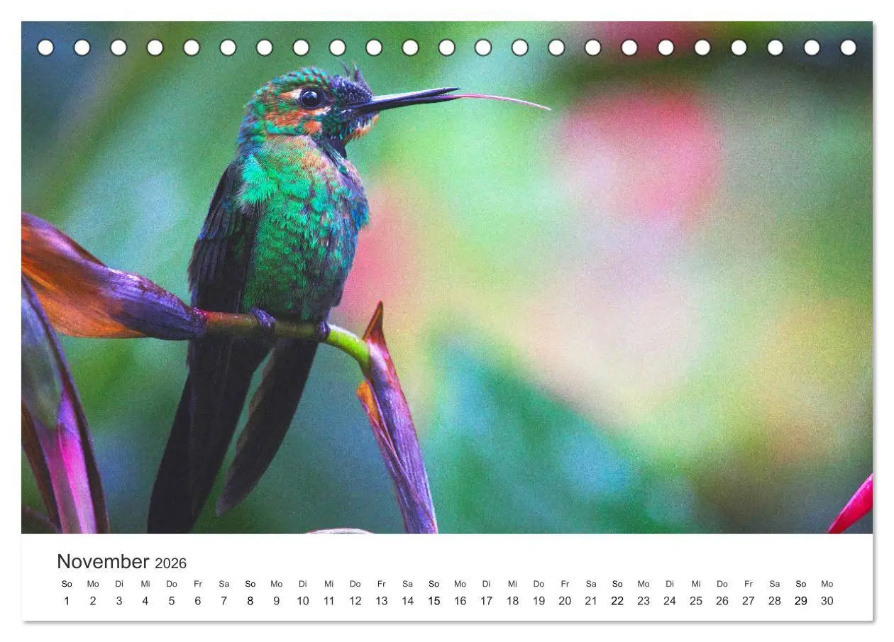 Bild: 9783457721056 | Costa Rica - exotische Tierwelt und unberührte Natur (Tischkalender...