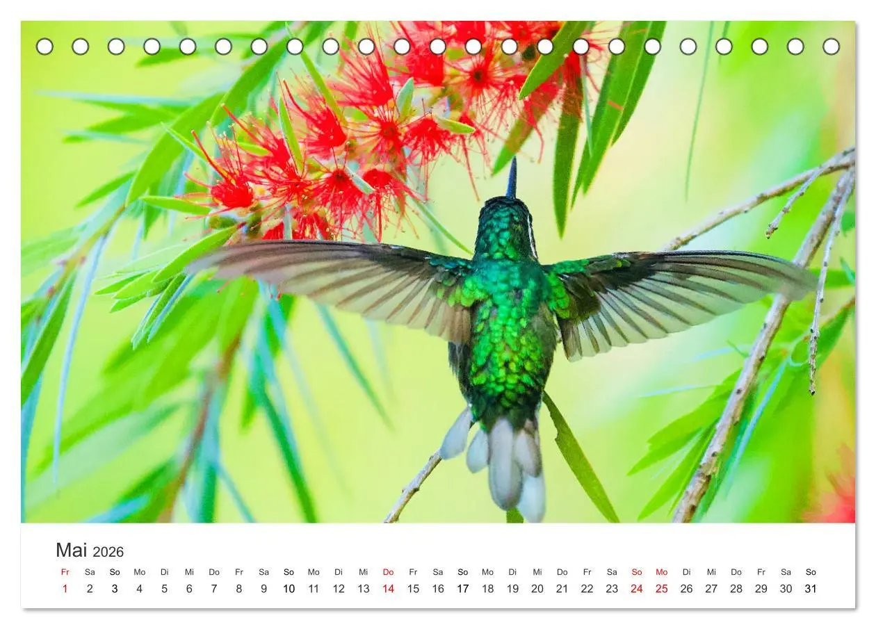 Bild: 9783457721056 | Costa Rica - exotische Tierwelt und unberührte Natur (Tischkalender...