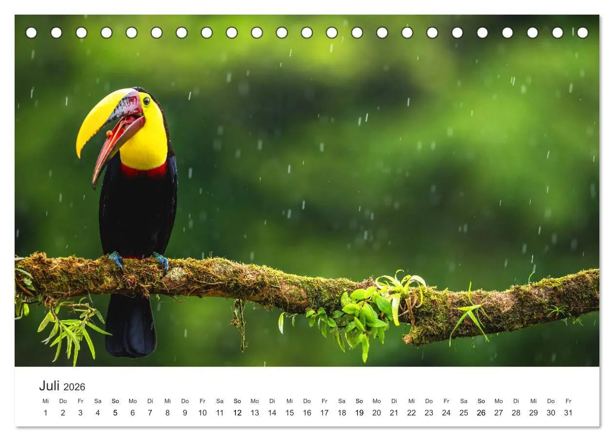 Bild: 9783457721056 | Costa Rica - exotische Tierwelt und unberührte Natur (Tischkalender...