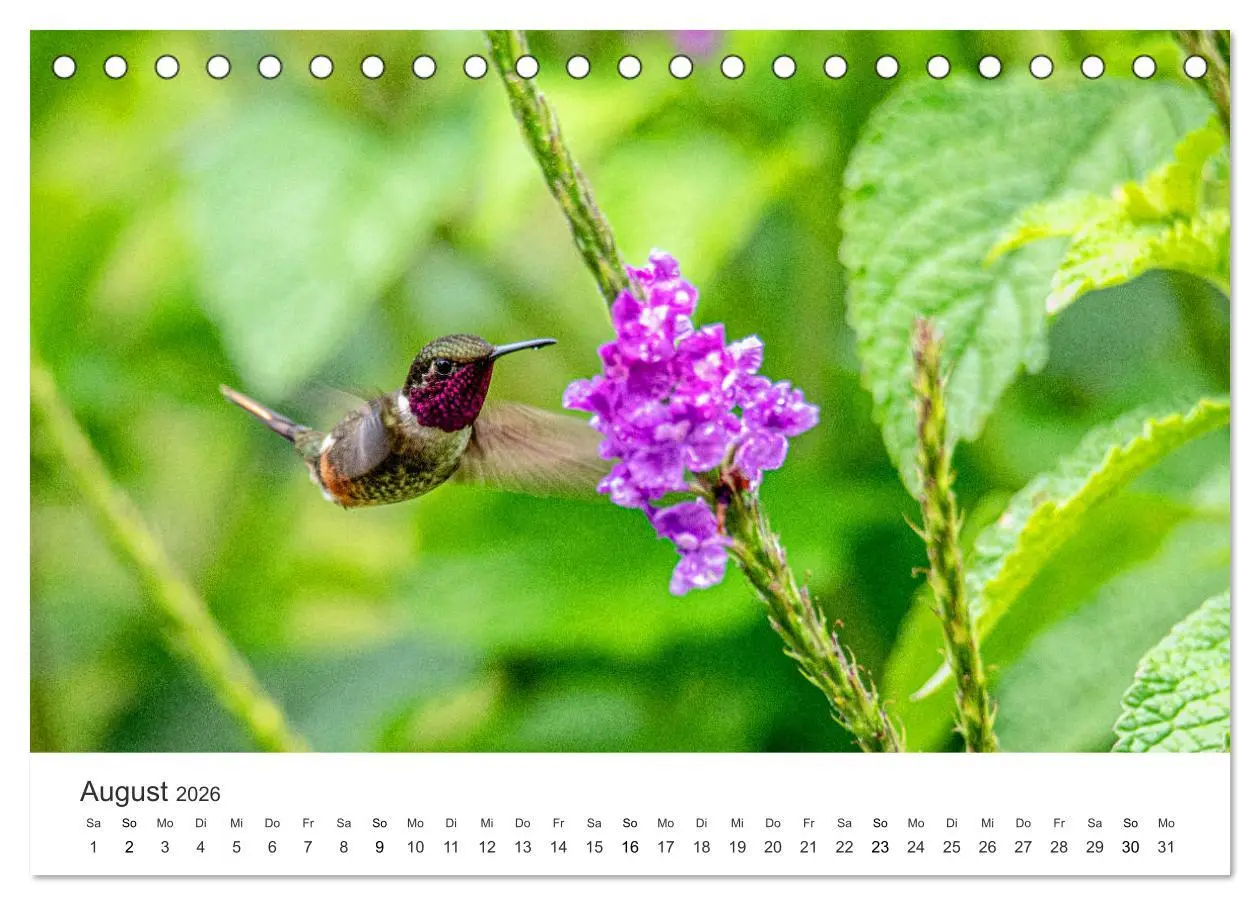 Bild: 9783457721056 | Costa Rica - exotische Tierwelt und unberührte Natur (Tischkalender...