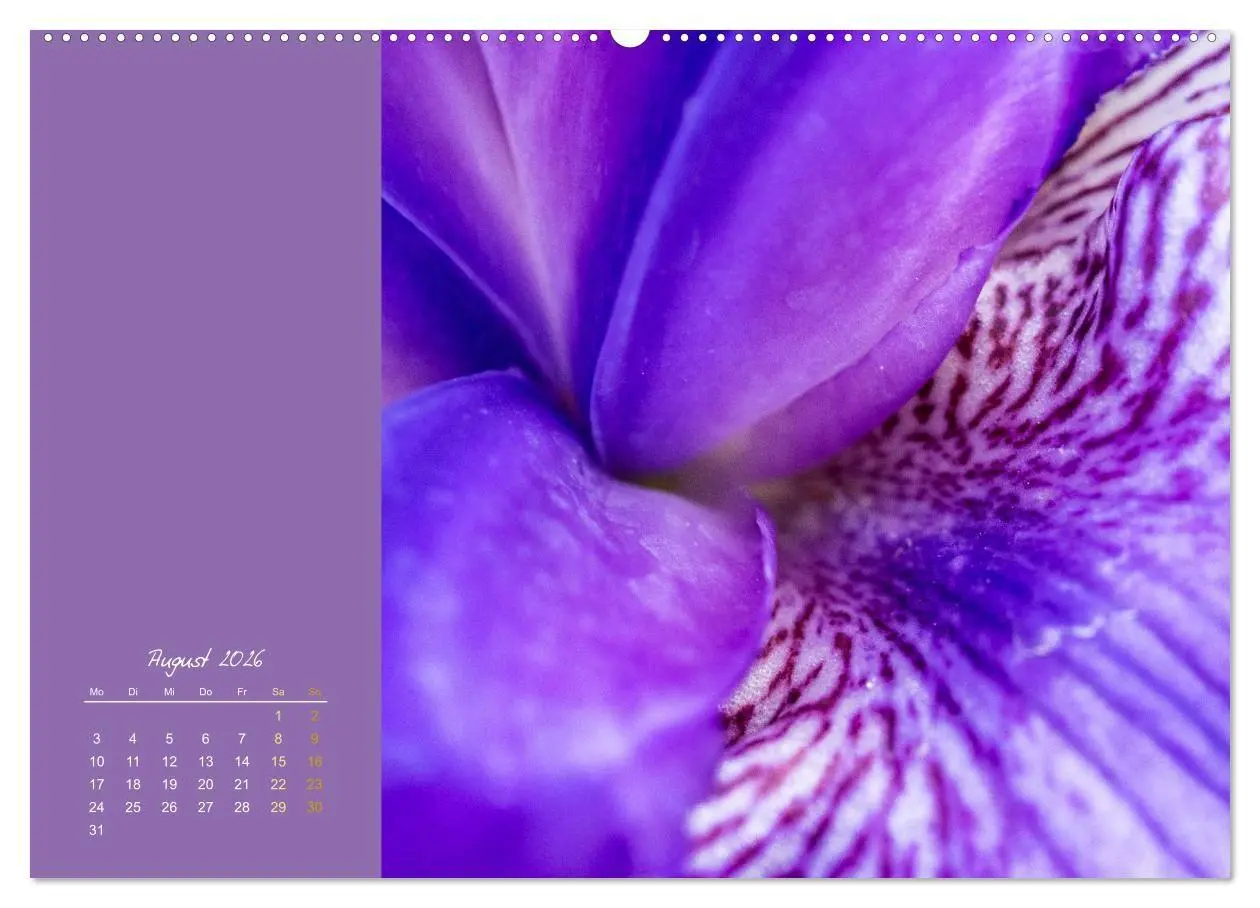 Bild: 9783516671056 | Blütenstil (hochwertiger Premium Wandkalender 2026 DIN A2 quer),...