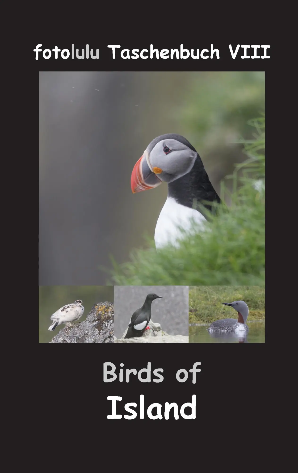 Cover: 9783744821056 | Birds of Island | Fotolulu | Taschenbuch | 56 S. | Deutsch | 2017