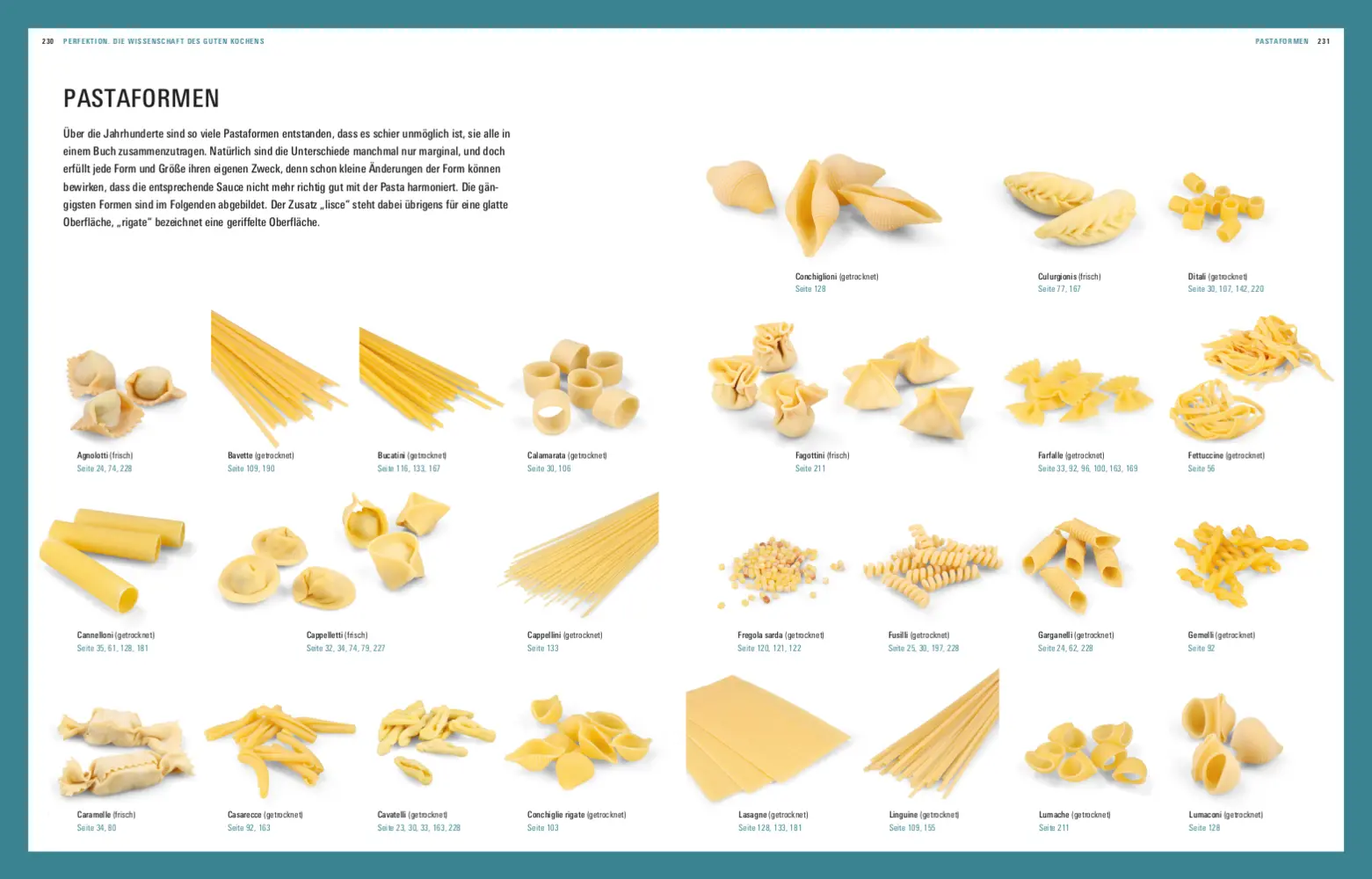 Bild: 9783747101056 | Perfektion Pasta | Die Wissenschaft des guten Kochens | Vilgis (u. a.)