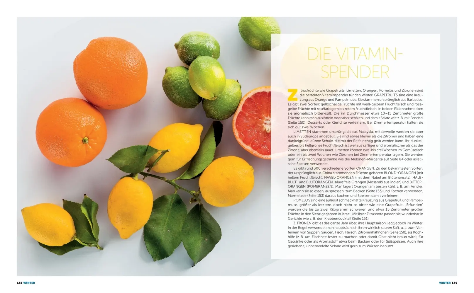 Bild: 9783960331056 | FRISCH | Ein Korb voller Rezepte | Ralf Frenzel | Buch | 160 S. | 2021