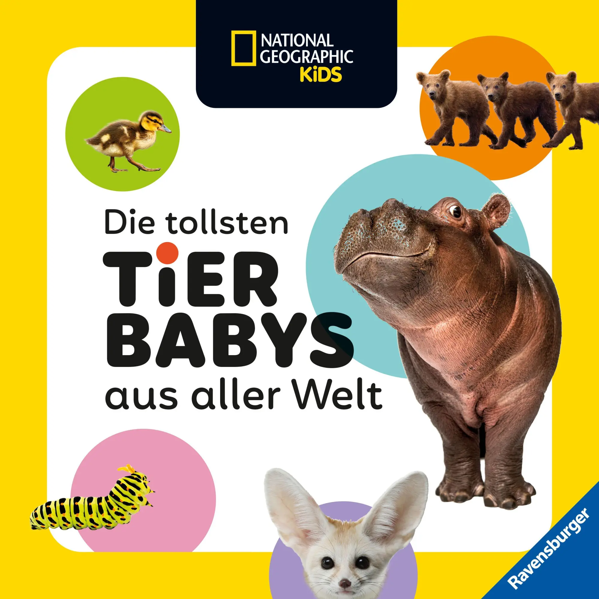 Cover: 9783473481156 | National Geographic Kids - Die tollsten Tierbabys aus aller Welt