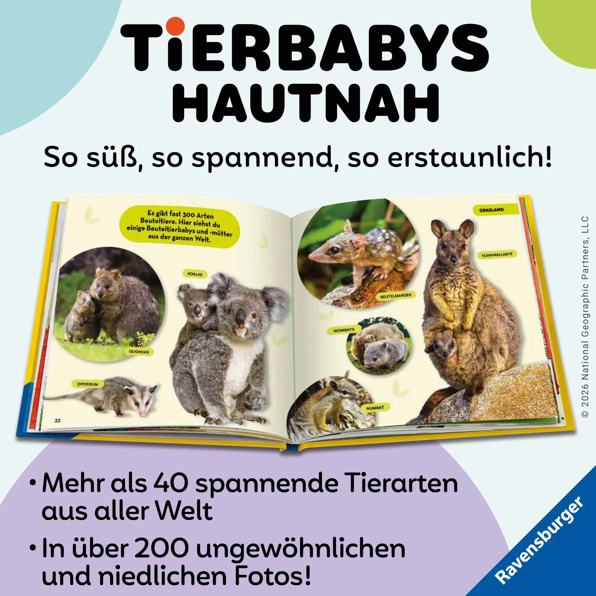 Bild: 9783473481156 | National Geographic Kids - Die tollsten Tierbabys aus aller Welt