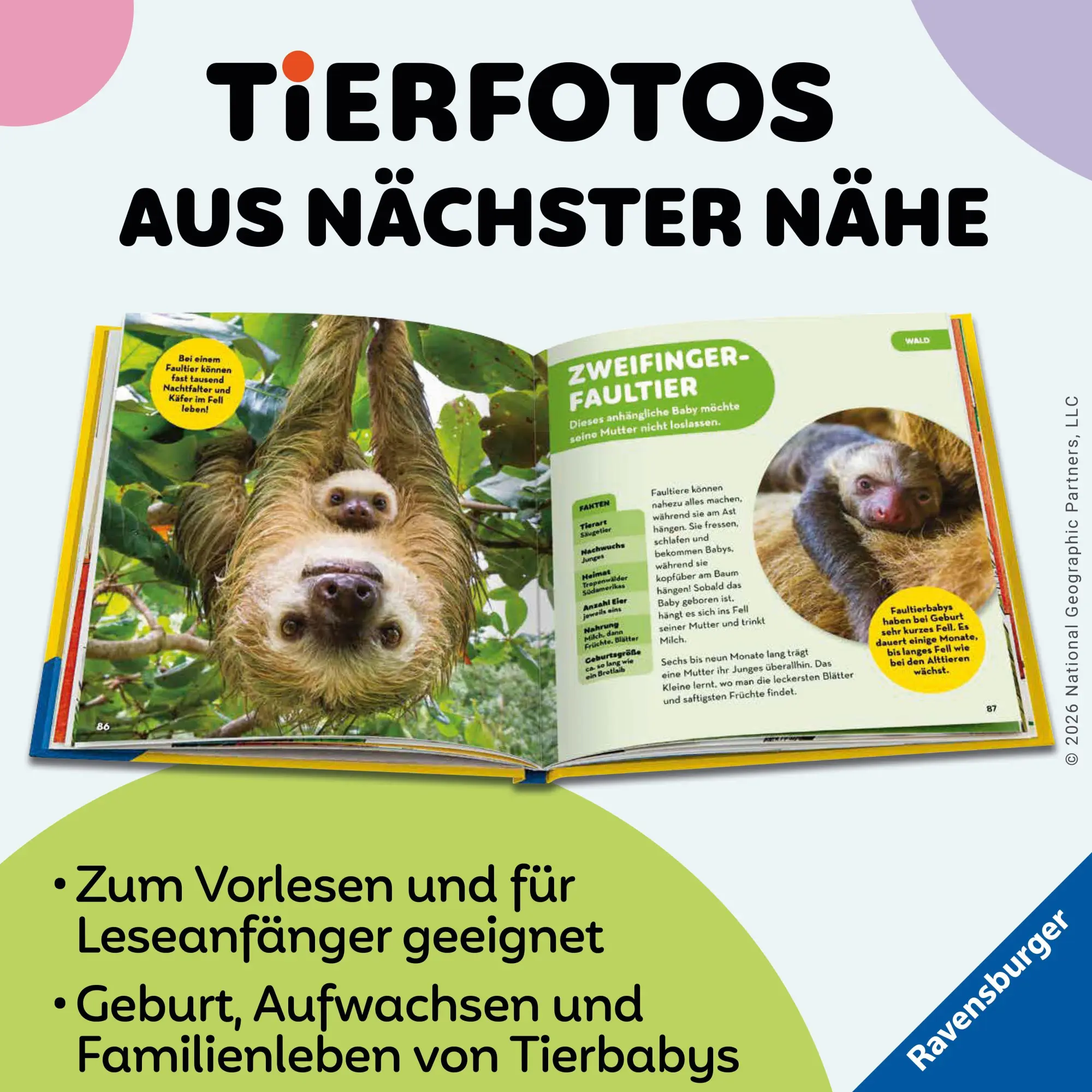 Bild: 9783473481156 | National Geographic Kids - Die tollsten Tierbabys aus aller Welt