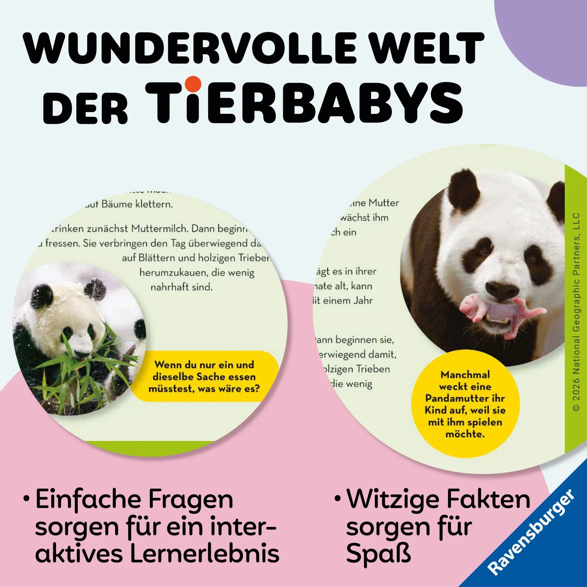Bild: 9783473481156 | National Geographic Kids - Die tollsten Tierbabys aus aller Welt